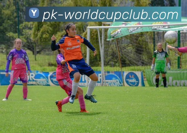 世界杯体育投注平台生态图